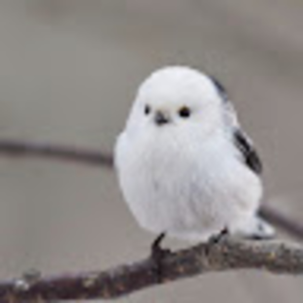 Meet your Posher, Vicky